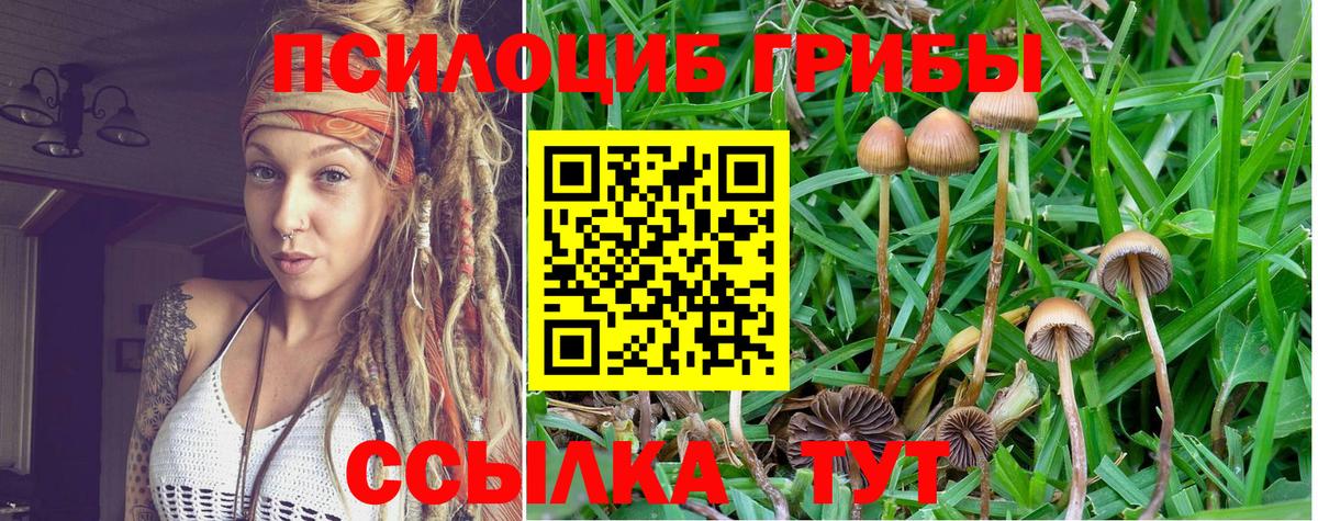 Галлюциногенные грибы ЛСД Полысаево