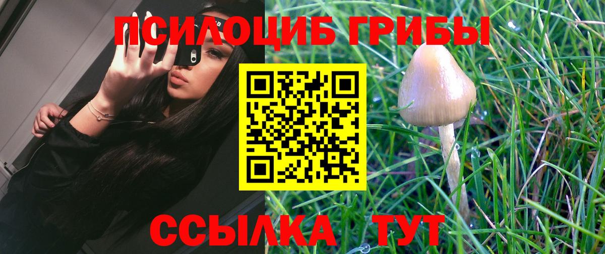 Псилоцибиновые грибы Psilocybe  Галлюциногенные грибы Psilocybine cubensis  Полысаево  Вход с VPN 